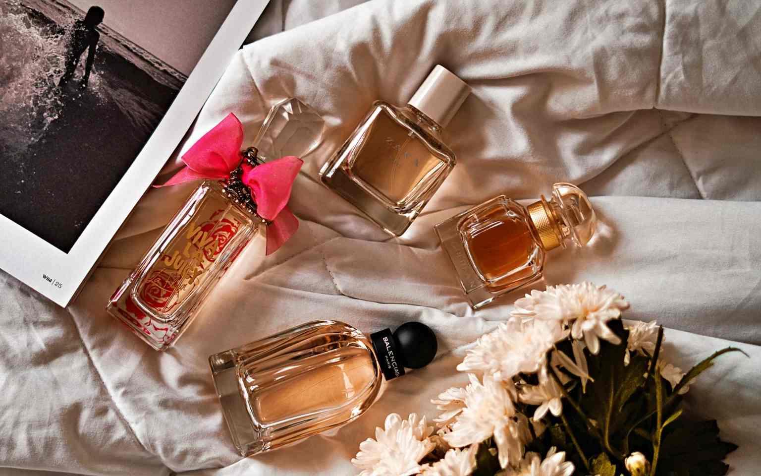 Aranyam's Guide: Understanding Perfumes Like Never Before